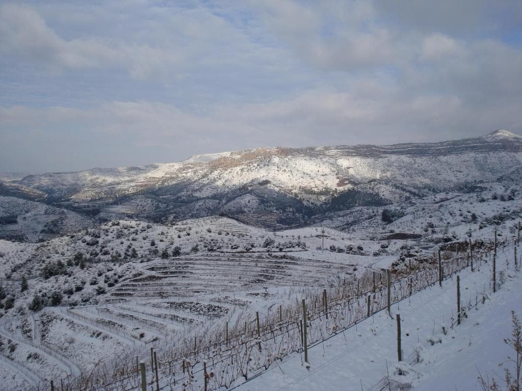 Buil & Giné Wine Hotel — 23