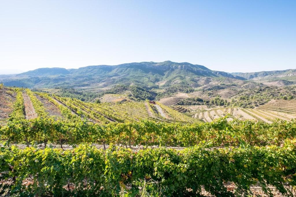 Buil & Giné Wine Hotel — 21