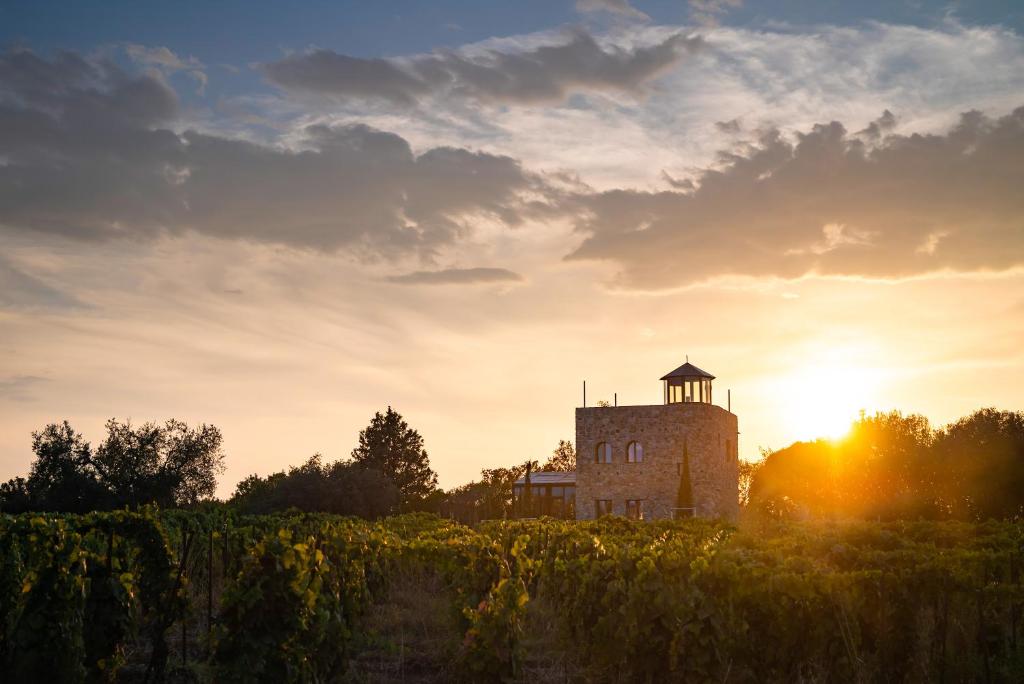 Castello di Vicarello — 4