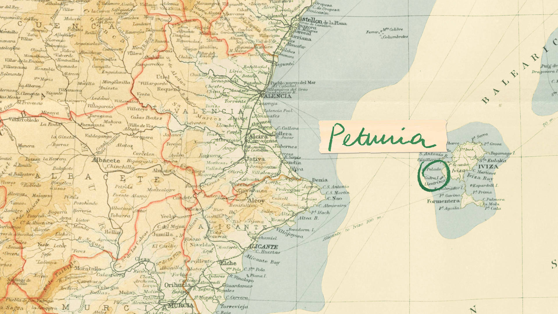 Petunia Ibiza — 2