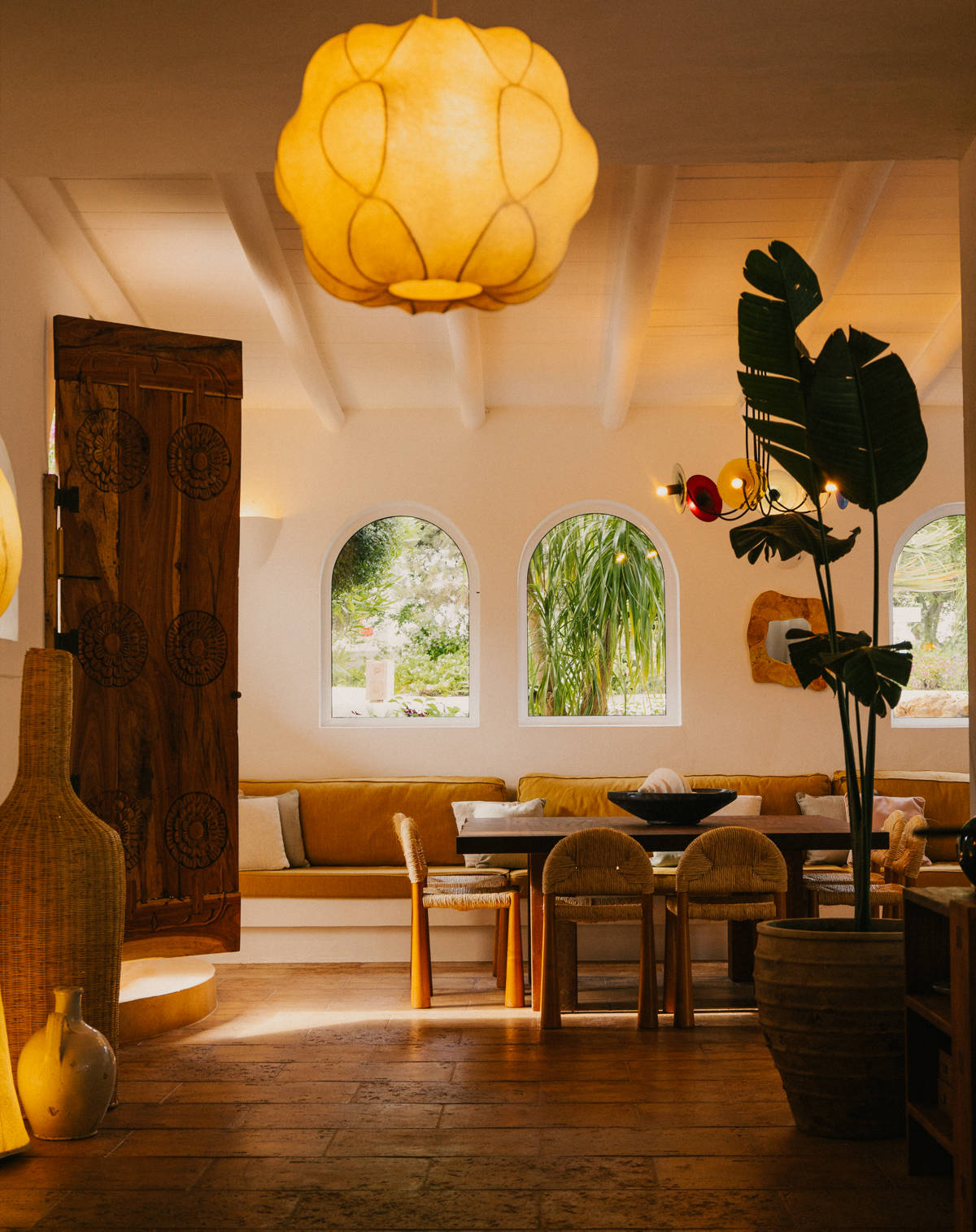 Petunia Ibiza — 4