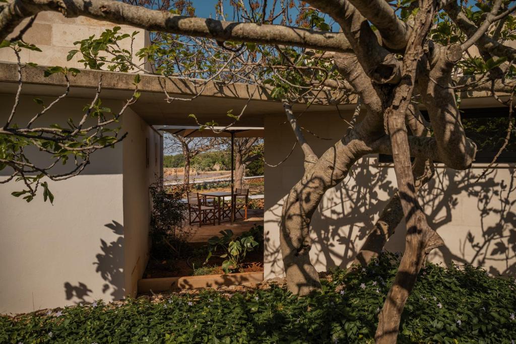 Sant Joan de Binissaida — 5