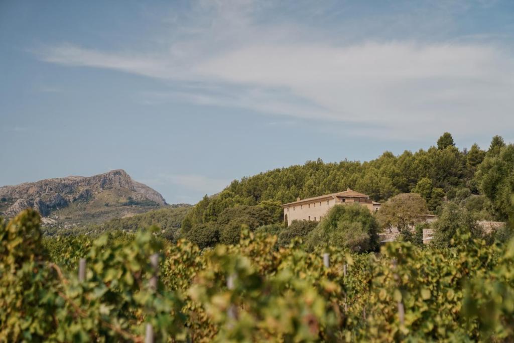 Son Brull Hotel & Spa — 16
