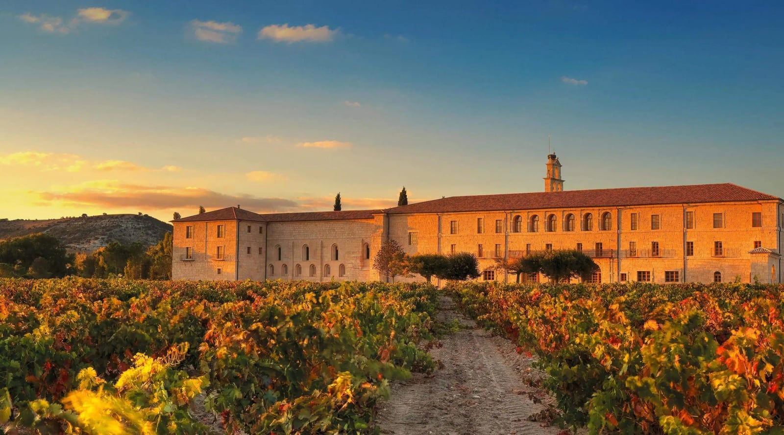 Fincas de vino