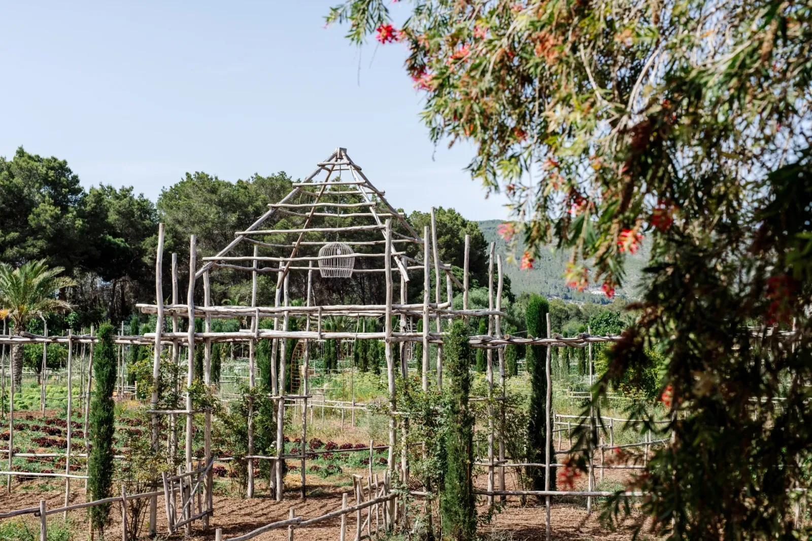 Atzaró Agroturismo, Santa Eulària des Riu — foto 6 de 6
