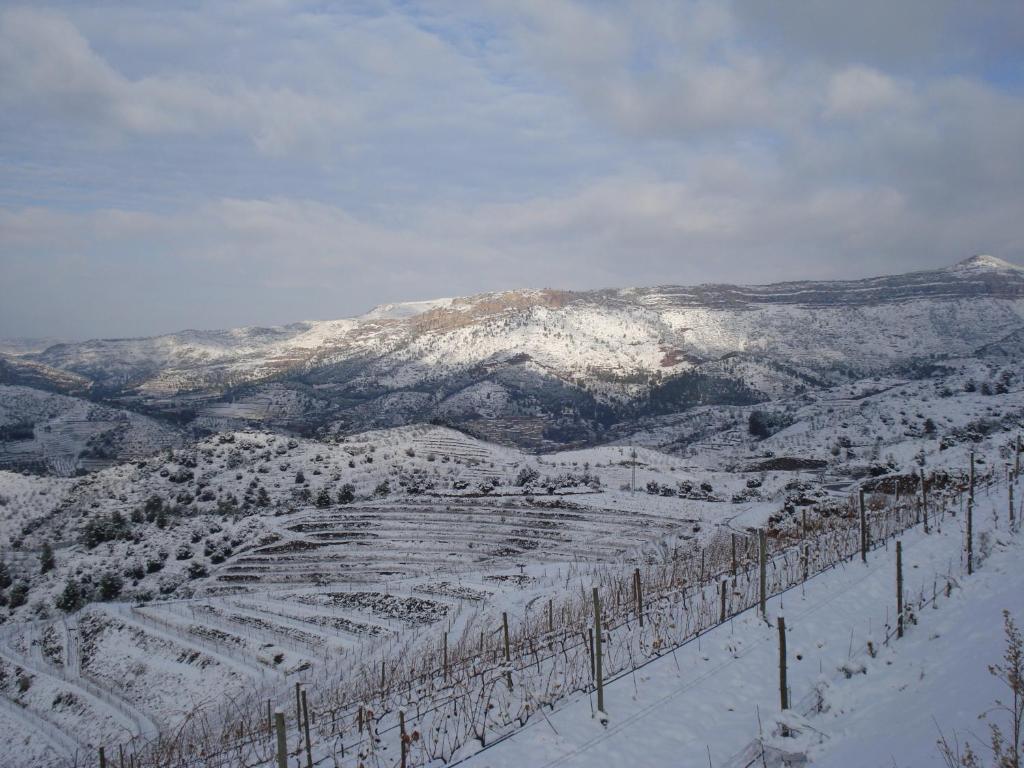 Buil & Giné Wine Hotel, Gratallops — foto 23 de 24