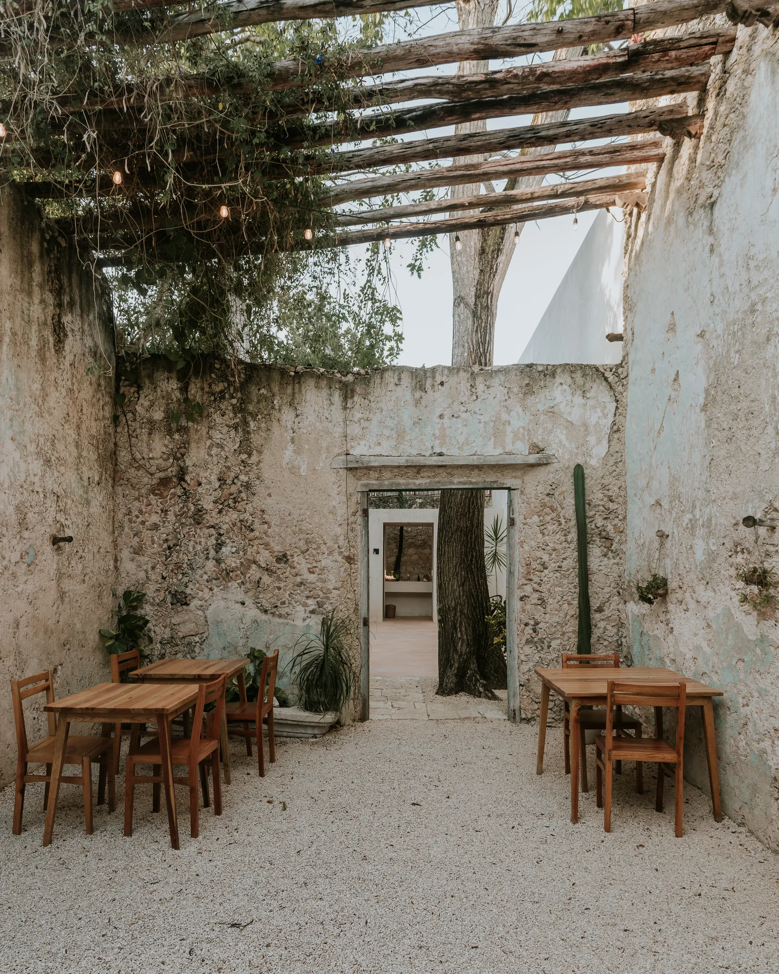 Casona Los Cedros, Espita — foto 3 de 6