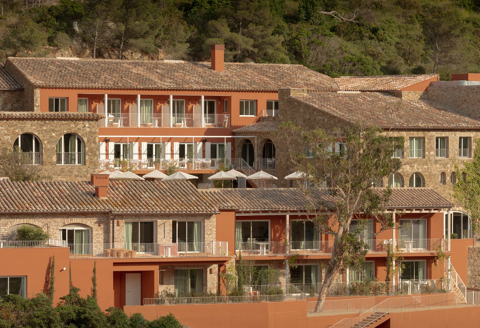 Finca Victoria