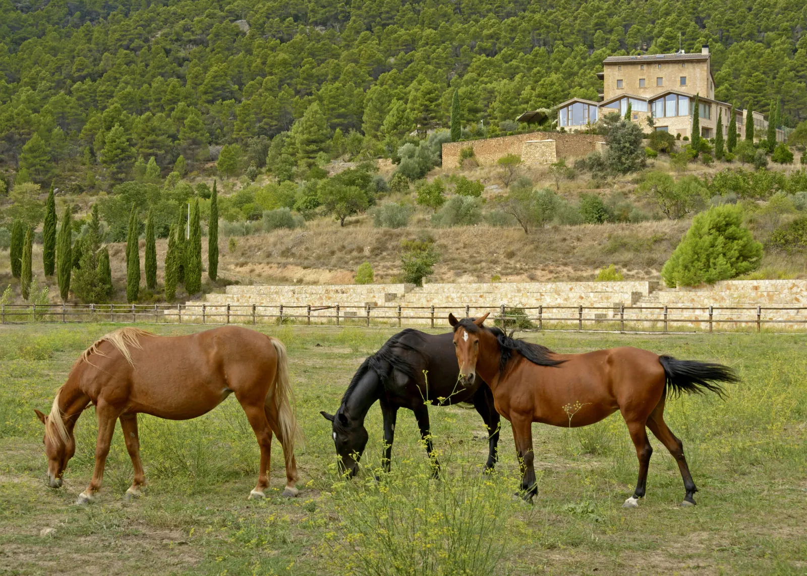 Torre del Marqués Hotel Spa & Winery, Monroyo — foto 6 de 6