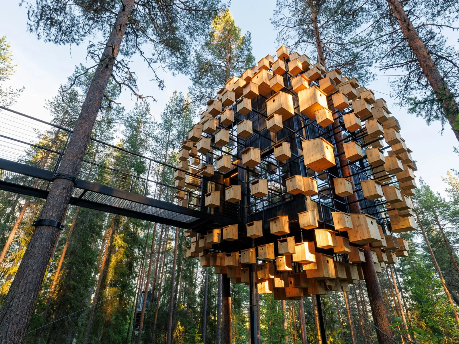 Treehotel, Harads — foto 2 de 6