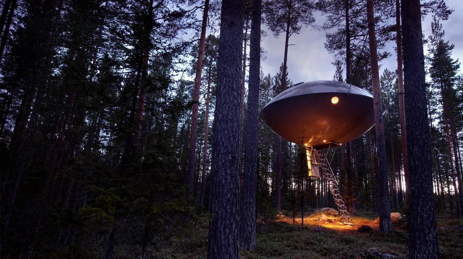 Treehotel, Harads — foto 3 de 6
