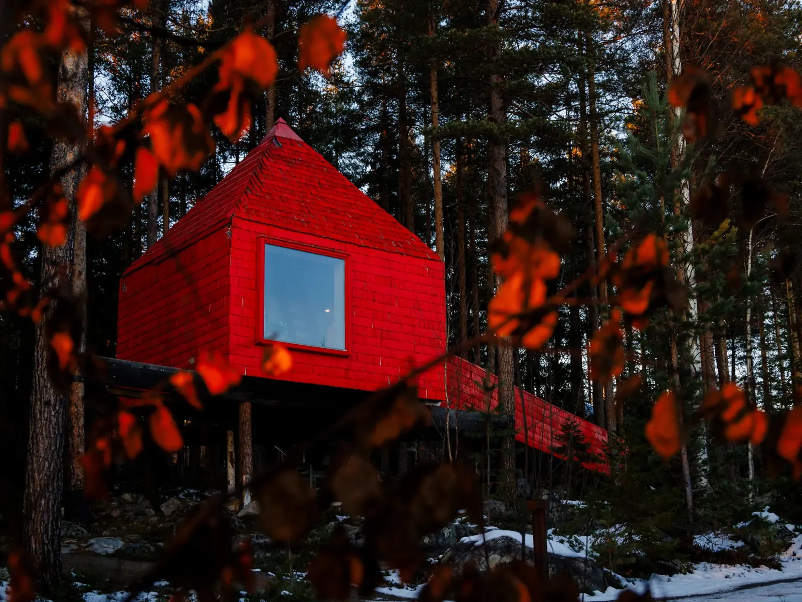 Treehotel, Harads — foto 4 de 6