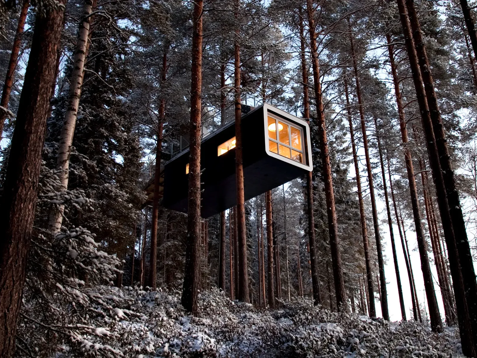 Treehotel, Harads — foto 5 de 6