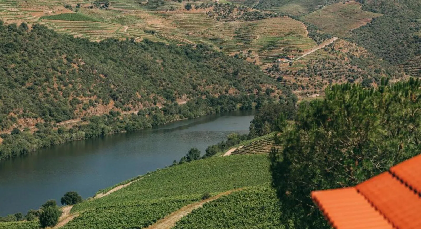 Ventozelo Hotel & Quinta, Ervedosa do Douro — foto 4 de 6